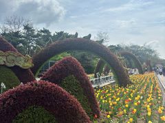 -沈阳植物园