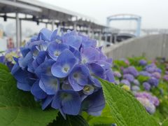 -台场海滨公园船码头