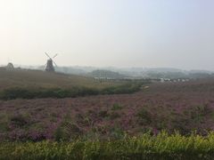 -紫颐香薰山谷景区