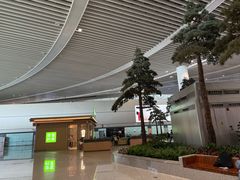 -青岛胶东国际机场