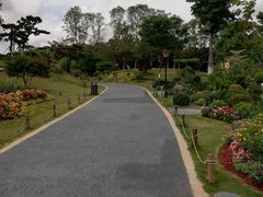 -东莞植物园