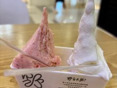-野人先生Gelato(上海长宁龙之梦店)