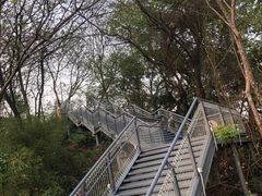 -佛山华盖山公园