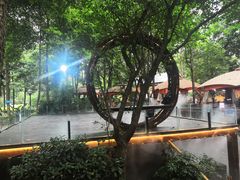 -二荆条·蜀鲜汇城市森林火锅