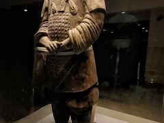 -秦始皇帝陵博物院(兵马俑)