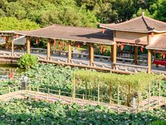 -广州莲花山旅游区