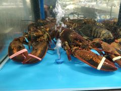 -麦德龙(郑东店)