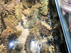 -浩运·海鲜青岛菜·海胆水饺(石老人店)