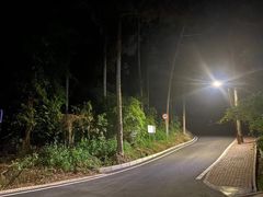 -南宁良凤江国家森林公园