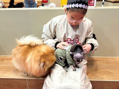 -和它·交个朋友·狗咖猫咖(爱琴海店)