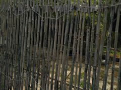 -日照海滨国家森林公园