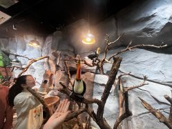 -Zoolung Zoolung动物主题公园(海信广场店)