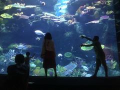 -暹罗海洋世界