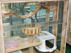 -松雷何所有(中央大街店)