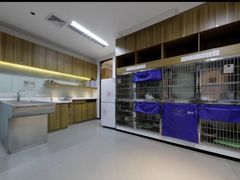 -御宝贝·A梦猫科宠物医院(国际猫友好医院)