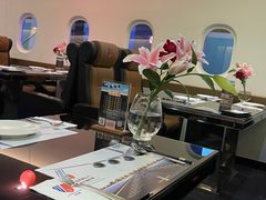 -法兰度航空主题餐厅(河源店)