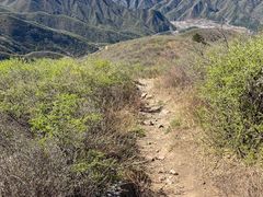 -大觉寺-停车场