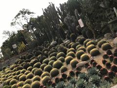 -胡里山炮台