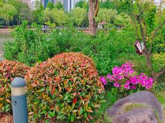 -新虹桥中心花园