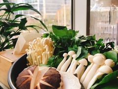 -烹然四季椰子鸡火锅(团结湖总店)