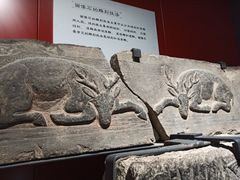-山东博物馆