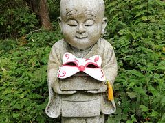 -武陵山森林公园