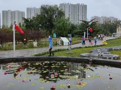 -永定河休闲森林公园