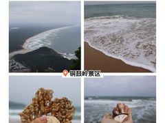 -吉英盐焗鸡(文中路店)