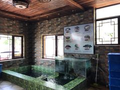 -荣德灶台鱼(圣泉寺店)