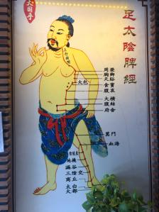 环境: 一共有两层,一层是接待大厅,摆放了好多中医推拿手法图和人体