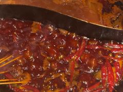 -蜀大侠火锅(总府路店)