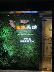 -西施无菌半永久纹绣眉眼影唇轻增发纹发际线