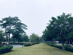-顺峰山公园