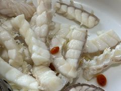 -港升鱼师傅·中山脆肉鲩