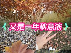 -仁和公园(顺义区)
