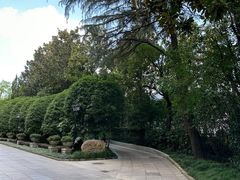 -上海虹桥迎宾馆