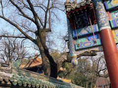 -北京国子监胡同