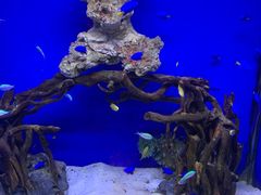 -海合安青岛极地海洋公园