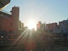 -道顿堀水上观光船(太左衛門橋船着場)