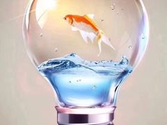 -嗨菓新鲜茶饮(北京大学店)