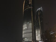 -演武大桥观景平台