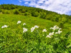 -灵山