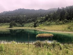 -武陵山森林公园