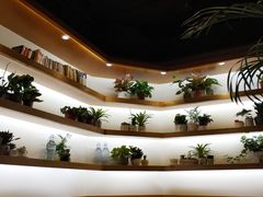 -十二舍·湯物素煮(江泰潤政店)