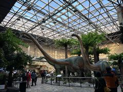 -国家自然博物馆