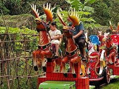 -广东茂名森林公园