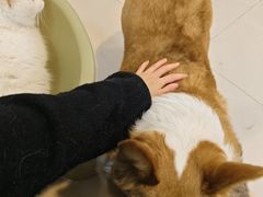 -平行世界·猫咖(首经贸店)