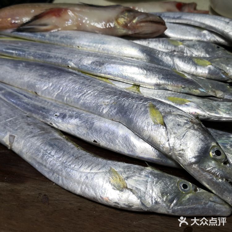 金厢赶海记