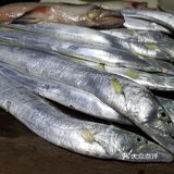 金厢赶海记