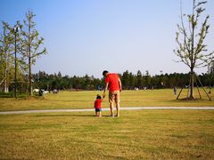 -上海长兴岛郊野公园